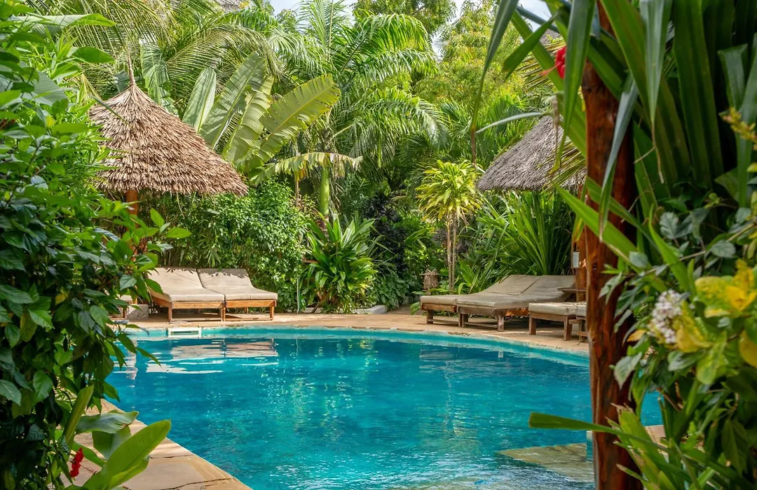 Maisha Nungwi - Boutique Hotel-1
